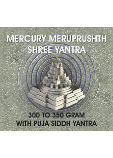 Parad Shree Yantra With Pooja